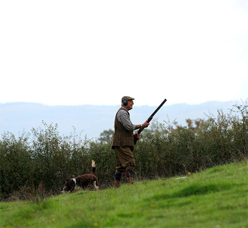 chasseur au chien d'arrêt
